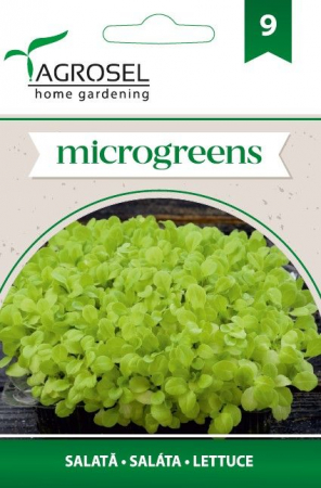 Seminte microgreens - Seminte microgreens salata