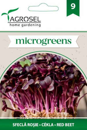 Seminte microgreens - Seminte microgreens sfecla rosie