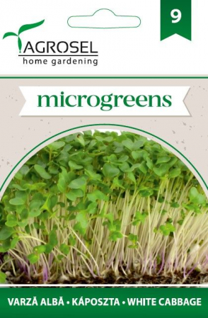 Seminte microgreens - Seminte microgreens varza alba