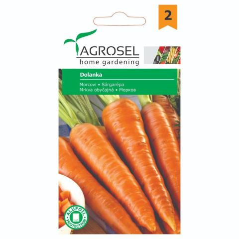 Morcov - Seminte morcov DOLANKA 5 G