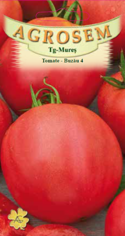 Seminte de legume - Seminte Tomate Buzău4 0.2 g