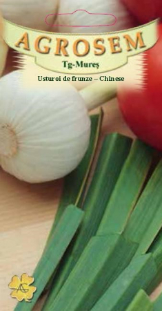 Seminte plante aromatice - Seminte usturoi de frunze CHINESE 0.5g
