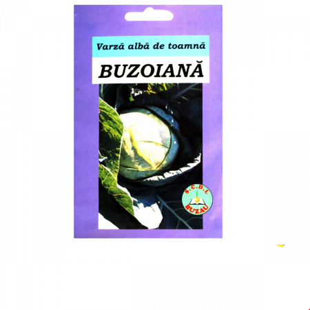 Varza - Seminte varza buzoiana 10 g