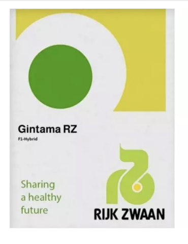 Varza - seminte varza Gintama F1 1000 sem