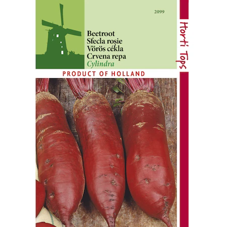 sfecla - Sfeclă roșie CYLINDRA 25 g