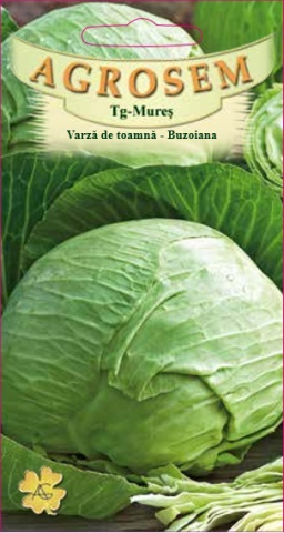 Varza - Varză de toamnă - de buzau (Buzoiana) 0.4 g