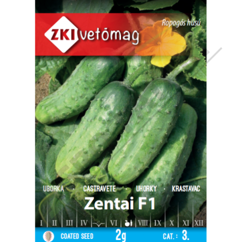 Castraveti - Seminte de castraveti cornichon ZENTAI F1-ZKI 1.5 G