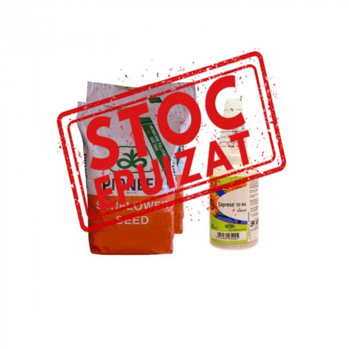 Samanta Floarea Soarelui Pionner P64LE137 Pachet 2+1 Express [2]