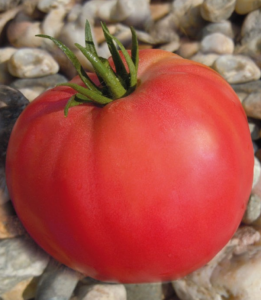 Seminte Hobby - Tomate Inima De Bou 2gr