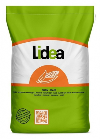 Seminte Porumb - Samanta Porumb GRIGRI