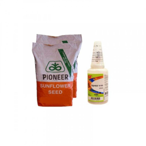 Samanta Floarea Soarelui Pionner P64LE137 Pachet 2+1 Express [0]