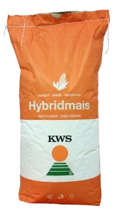 Seminte Porumb - Samanta Porumb Kws 1394