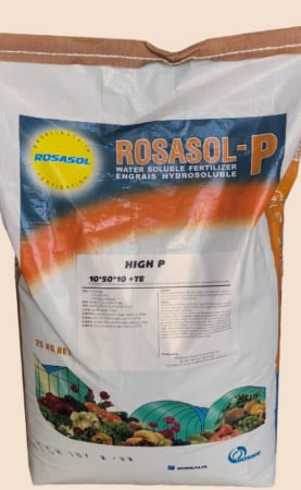 Ingrasaminte - Rosasol 10-50-10 +TE
