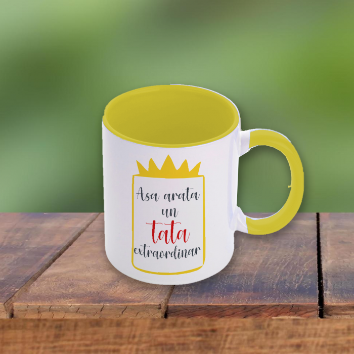 Cana personalizata Asa arata un tata extraordinar [2]
