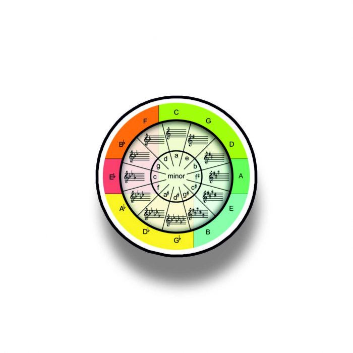 Insigna personalizata cu brosa Music chart [1]