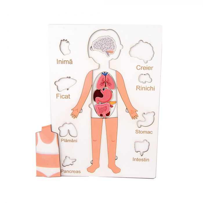 Puzzle personalizat cu anatomia umana 14 piese [2]