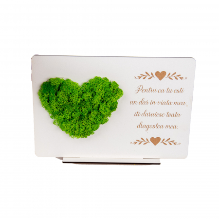 Decoratiune din Lemn Personalizat cu Mesaj si Licheni
