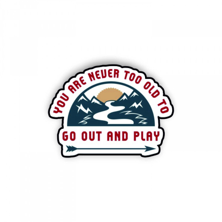 Insigne/Brose - Insigna personalizata cu brosa Go out and play