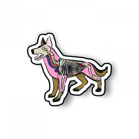Insigne/Brose - Insigna personalizata cu brosa Dog anatomy