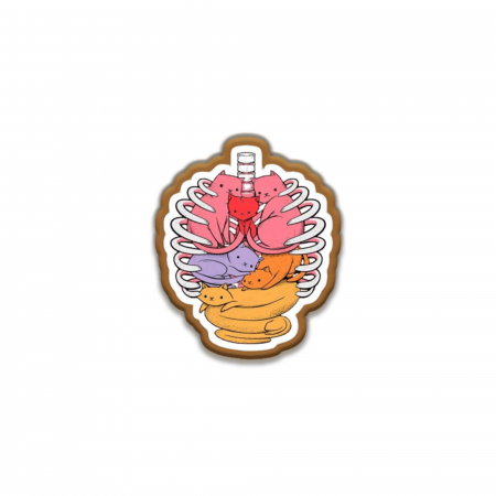 Insigne/Brose - Insigna personalizata cu brosa Cat Anatomy