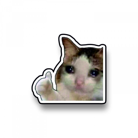 Insigne/Brose - Insigna personalizata cu brosa Ok cat