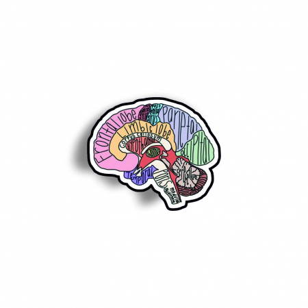 Insigne/Brose - Insigna personalizata cu brosa Anatomia creierului