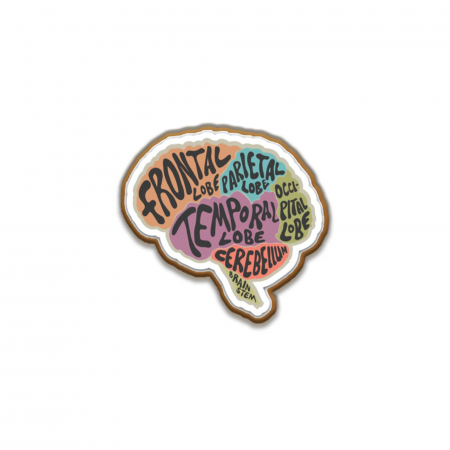 Insigne/Brose - Insigna personalizata cu brosa Brain Anatomy