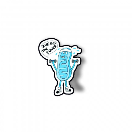 Insigne/Brose - Insigna personalizata cu brosa I got the power