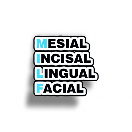 Insigne/Brose - Insigna personalizata cu brosa Mesial