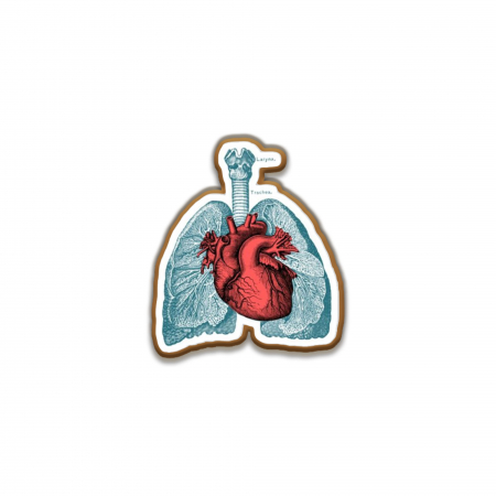 Insigne/Brose - Insigna personalizata cu brosa Heart and Lungs
