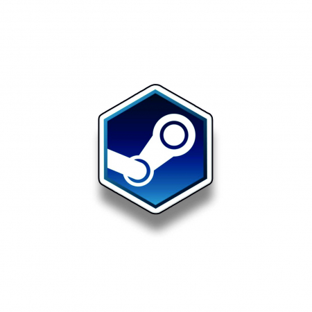 Insigne/Brose - Insigna personalizata cu brosa Steam