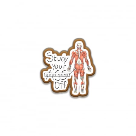 Insigne/Brose - Insigna personalizata cu brosa Study your gluteus maximus off