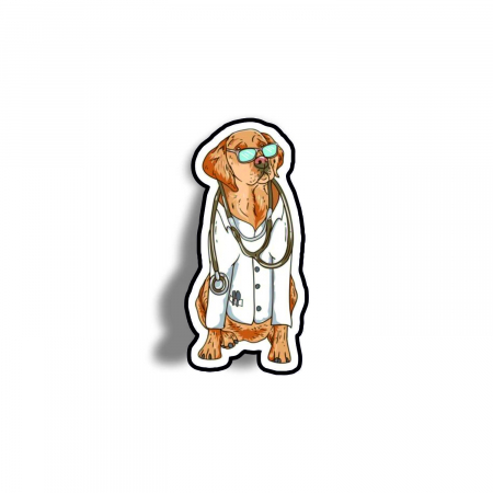 Insigne/Brose - Insigna personalizata cu brosa Dogtor