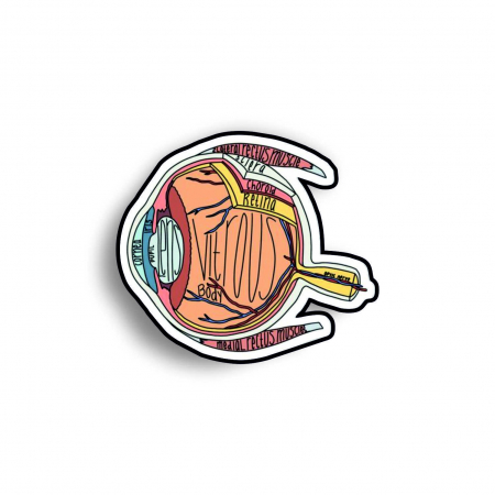 Insigne/Brose - Insigna personalizata cu brosa Anatomia ochiului