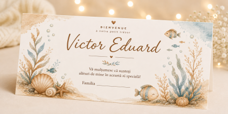 Plicuri de bani pentru botez - Plic bani botez personalizat Ocean Friends