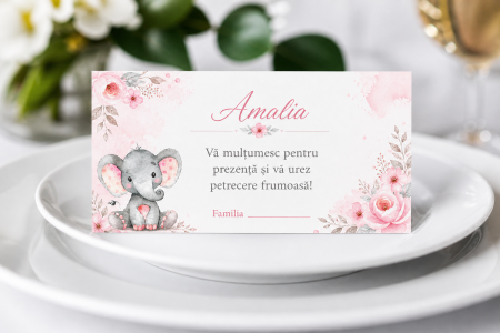 Plicuri de bani pentru botez - Plic bani botez personalizat Soft Elephant