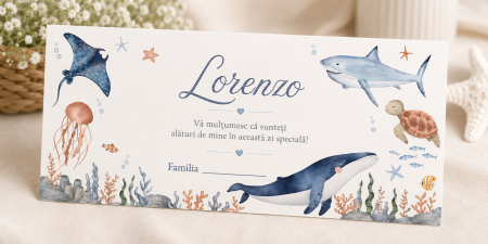 Plicuri de bani pentru botez - Plic bani botez personalizat Little Whale
