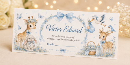 Plicuri de bani pentru botez - Plic bani botez personalizat Blue Wonderland