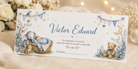 Plicuri de bani pentru botez - Plic bani botez personalizat Tiny Treasures