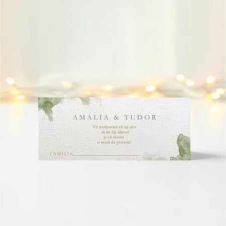 Plicuri bani nunta - Plic bani nunta personalizat Verdant Vows