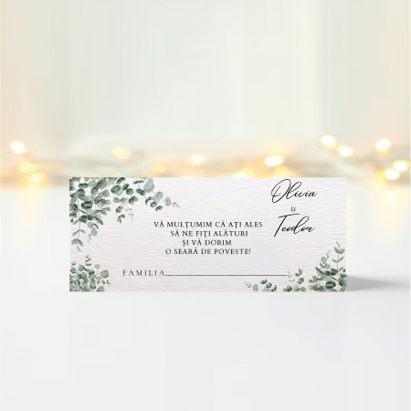 Plicuri bani nunta - Plic bani nunta personalizat Eucalyptus Bliss