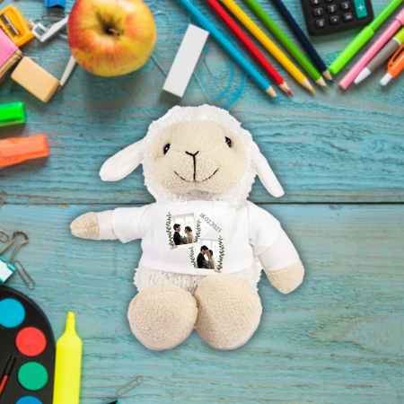 Plusuri personalizate - Plus personalizat oita cu mesaj si 2 poze 20 cm