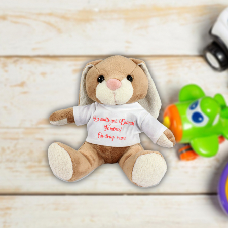 Plusuri personalizate - Plus personalizat iepuras cu mesaj 20 cm
