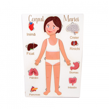 Puzzle - Puzzle personalizat cu anatomia umana 14 piese