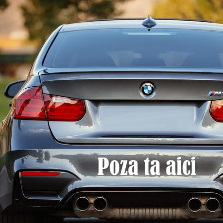 Stickere - Sticker personalizat cu poza
