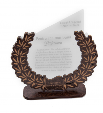 Trofee - Trofeu Personalizat cu mesaj de multumire pentru Profesoara