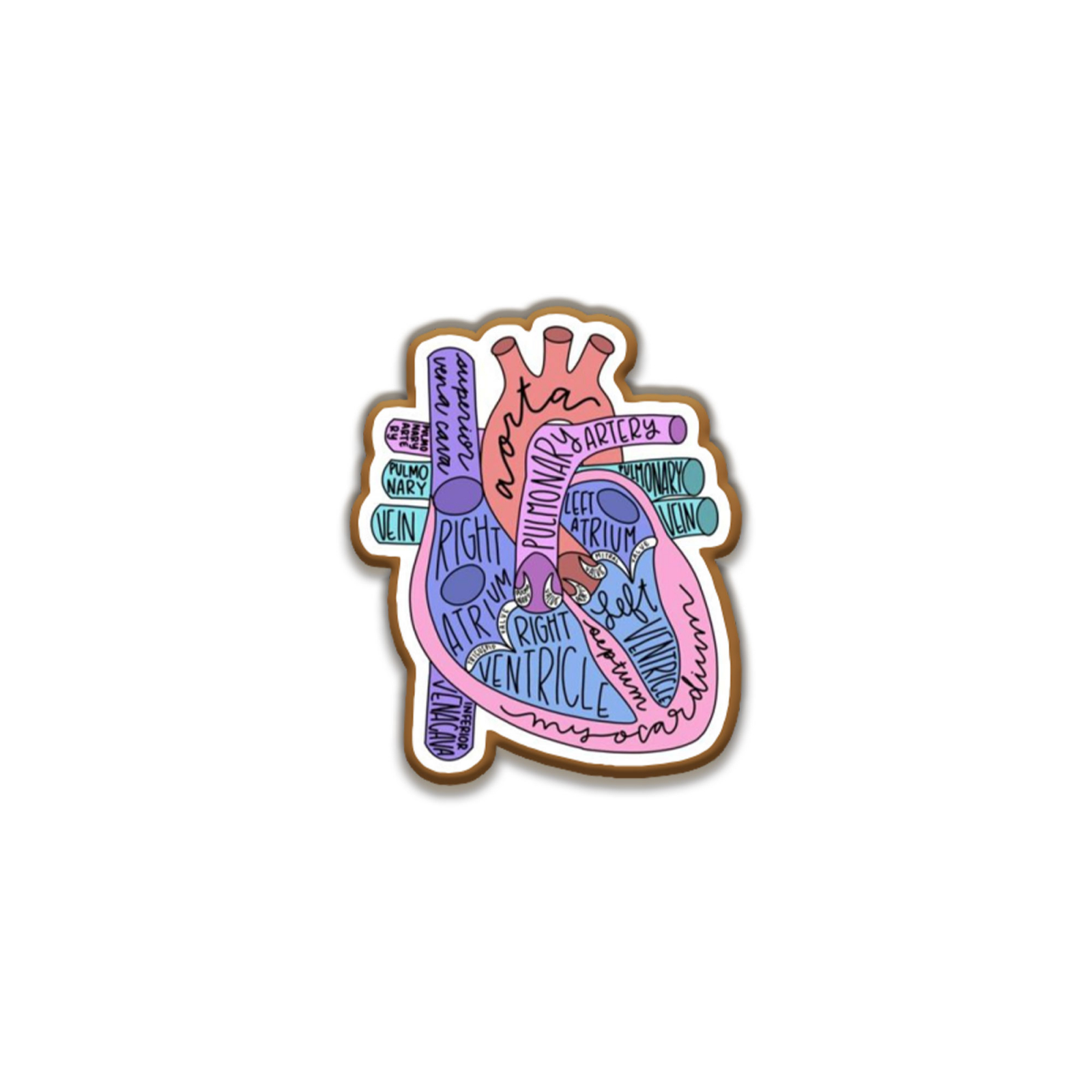 Insigna personalizata cu brosa Heart Anatomy