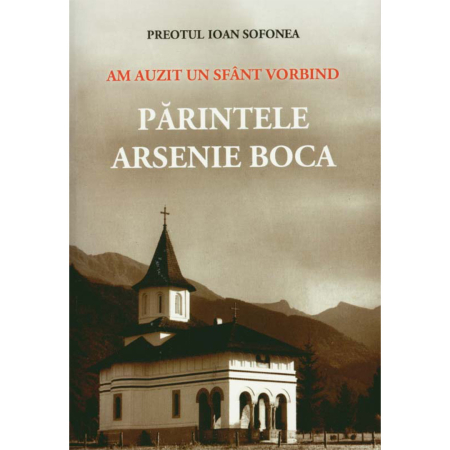 Religie / Teologie - Am auzit un sfânt vorbind : Părintele Arsenie Boca