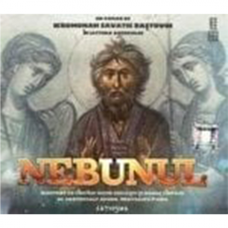 Multimedia - Audiobook - Nebunul