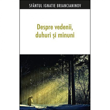Religie / Teologie - Despre vedenii, duhuri și minuni 